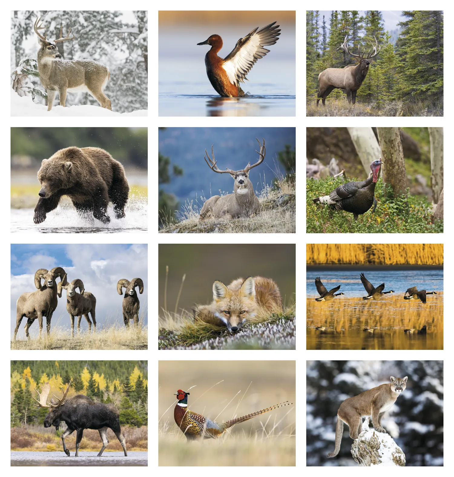 Great Lakes Sportsman Calendar Regional Guide - 18.5 x 11 in - product view 30