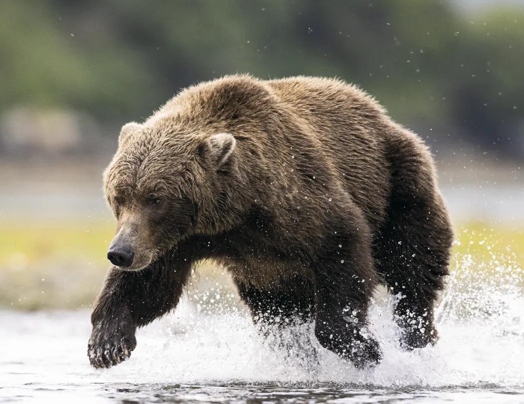 Southeast Sportsman Calendar Regional Guide - 18.5 x 11 in - product view 20