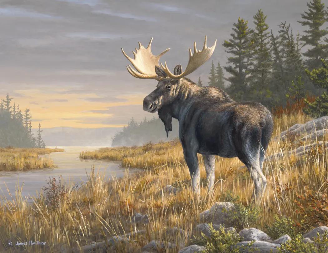 Hautman Brothers Wildlife Art Calendar Matte - 18.5 x 11 in - product view 17