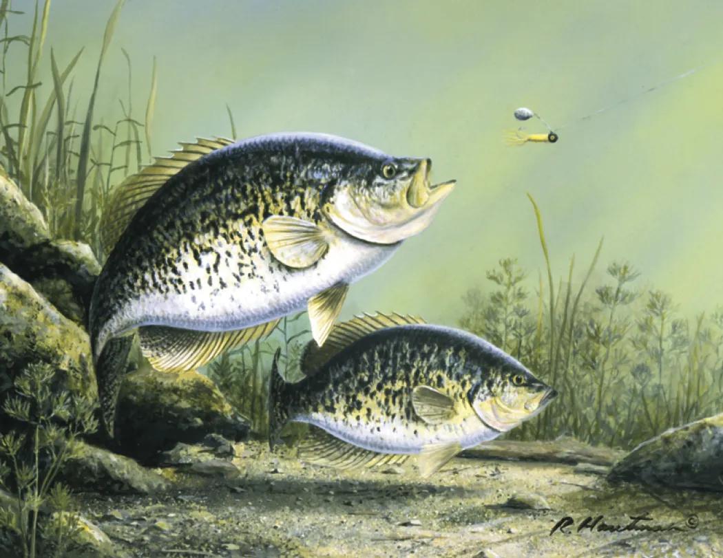 Hautman Brothers Wildlife Art Calendar Matte - 18.5 x 11 in - product view 22