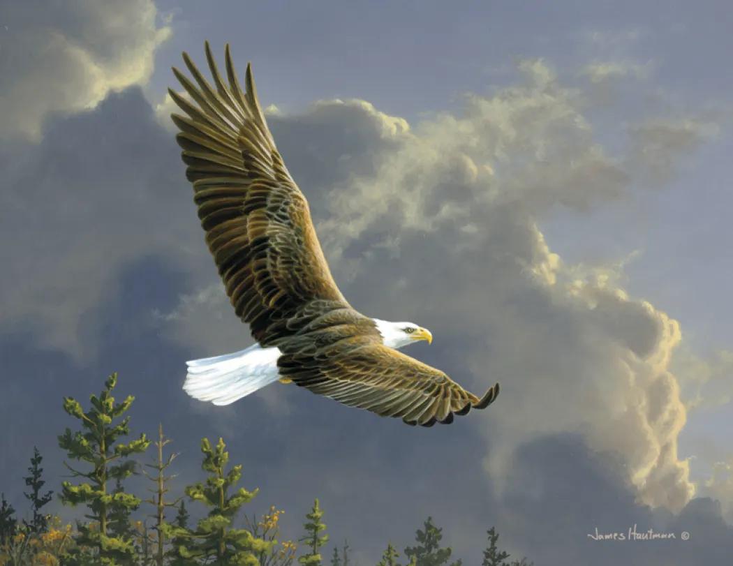 Hautman Brothers Wildlife Art Calendar Matte - 18.5 x 11 in - product view 23