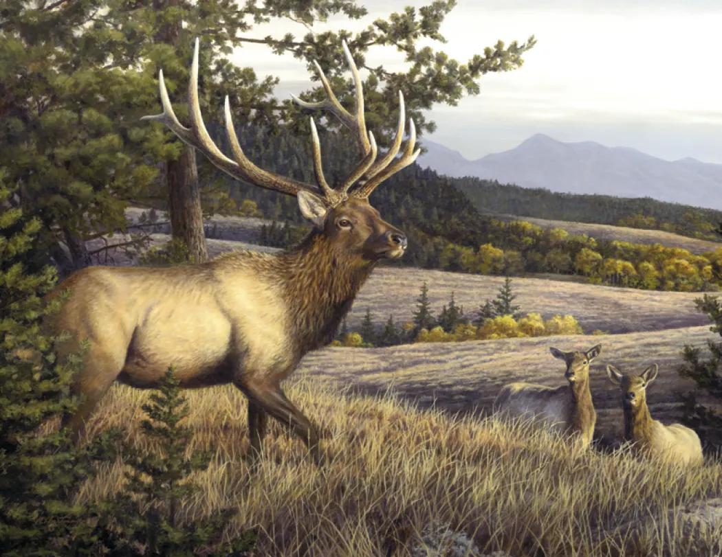 Hautman Brothers Wildlife Art Calendar Matte - 18.5 x 11 in - product view 24