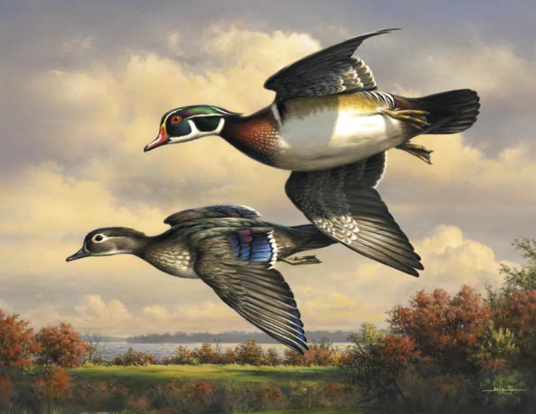 Hautman Brothers Wildlife Art Calendar Matte - 18.5 x 11 in - product view 26