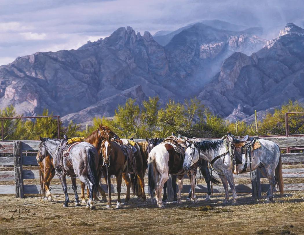 Tim Cox American West Wall Calendar FSC Matte - 18.5 x 11 in - product view 18