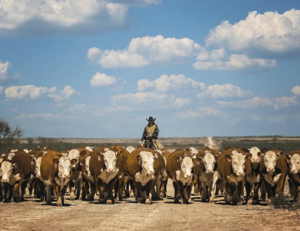 Western Landscape Wall Calendar FSC Gloss - 18.5 x 11 in - product view 19