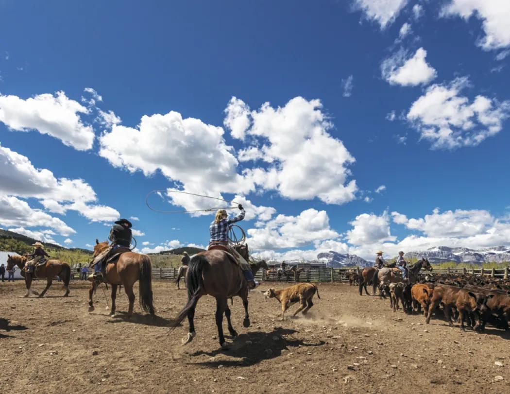 Western Landscape Wall Calendar FSC Gloss - 18.5 x 11 in - product view 24