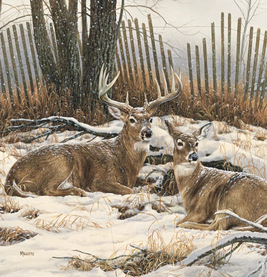 Wildlife Art Wall Calendar FSC Matte Cover - 25 x 12 in - product view 4