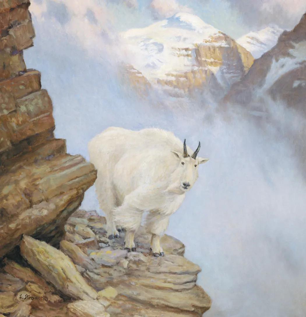 Wildlife Art Wall Calendar FSC Matte Cover - 25 x 12 in - product view 5