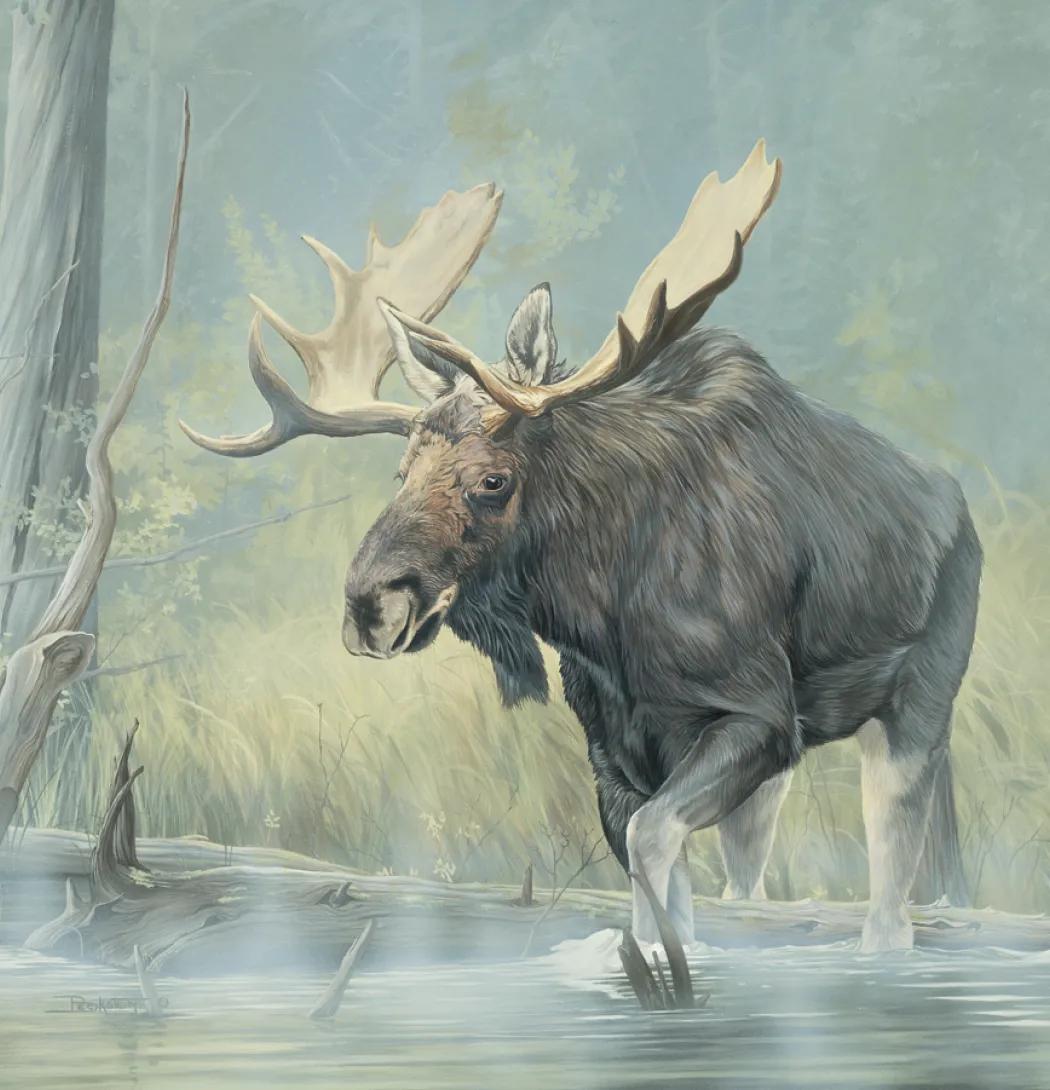 Wildlife Art Wall Calendar FSC Matte Cover - 25 x 12 in - product view 7