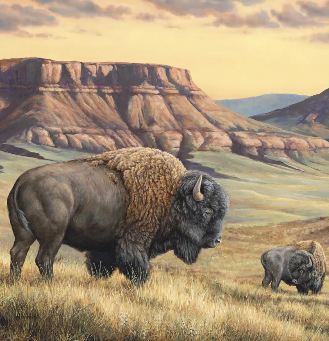 Wildlife Art Wall Calendar FSC Matte Cover - 25 x 12 in - product view 10