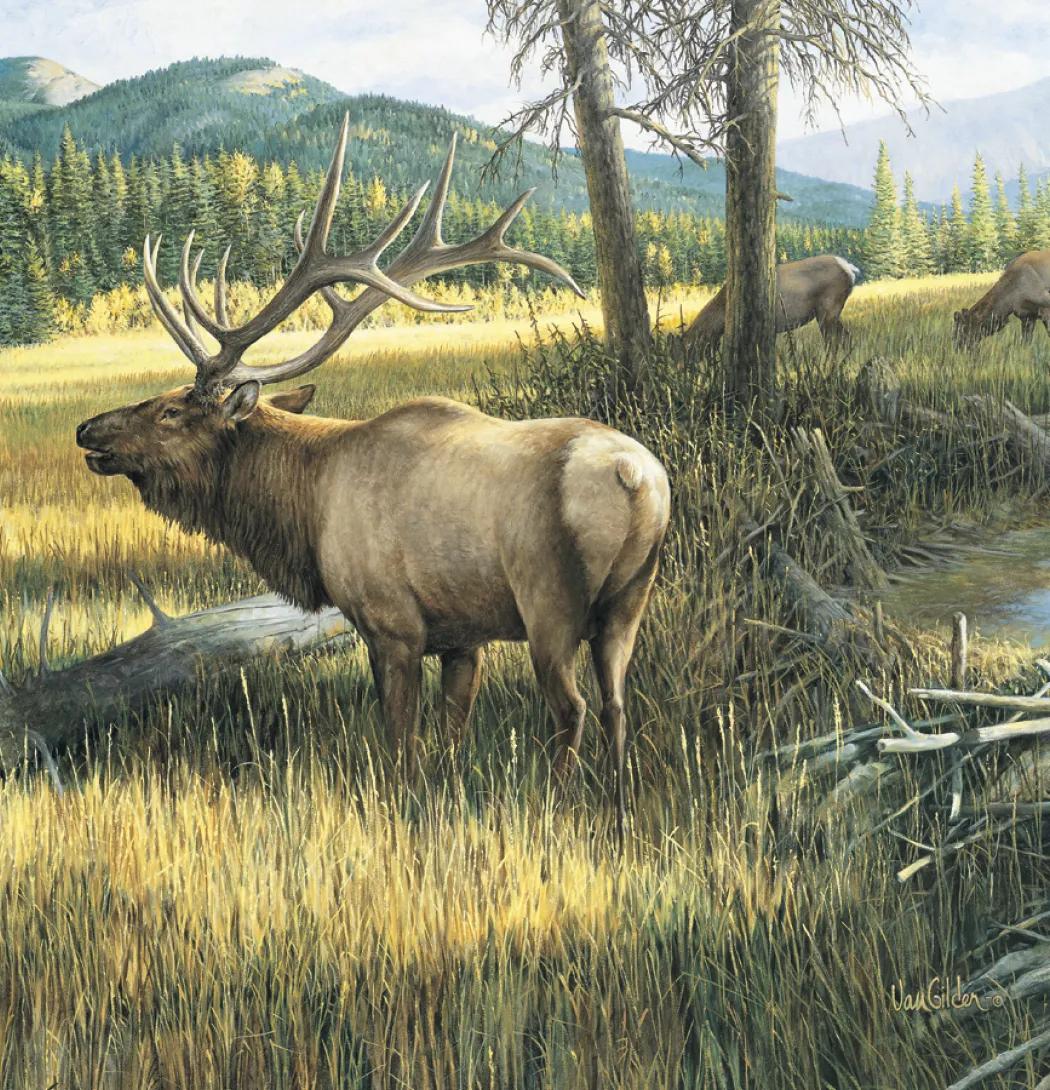 Wildlife Art Wall Calendar FSC Matte Cover - 25 x 12 in - product view 12