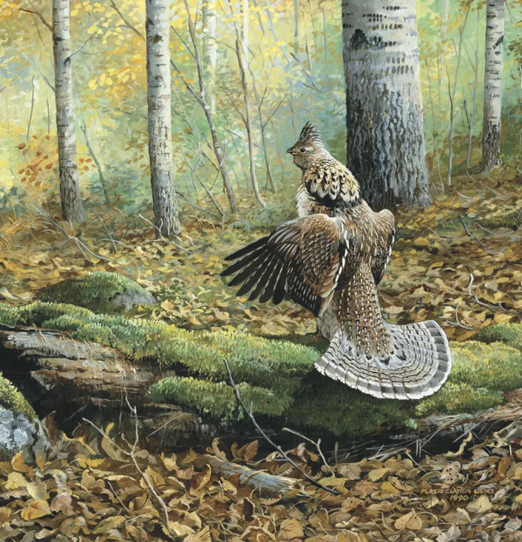 Wildlife Art Wall Calendar FSC Matte Cover - 25 x 12 in - product view 13