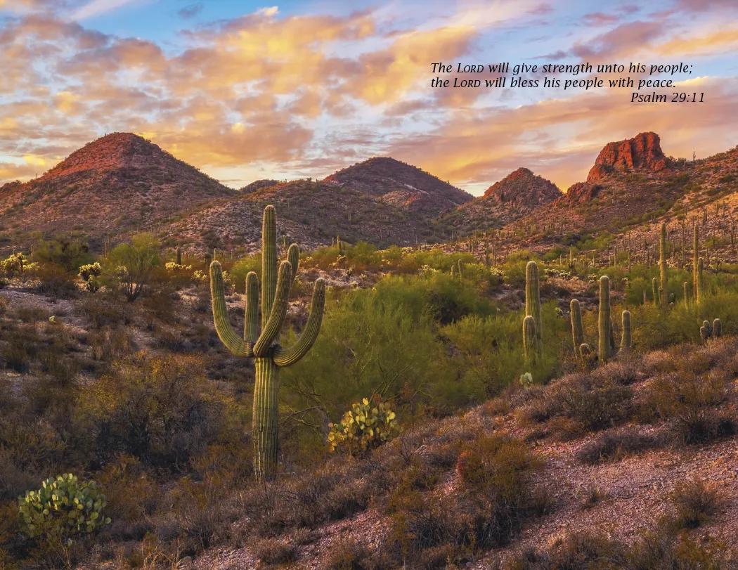 Bible Passages Wall Calendar King James Nature - 16.75 x 11 in - product view 12