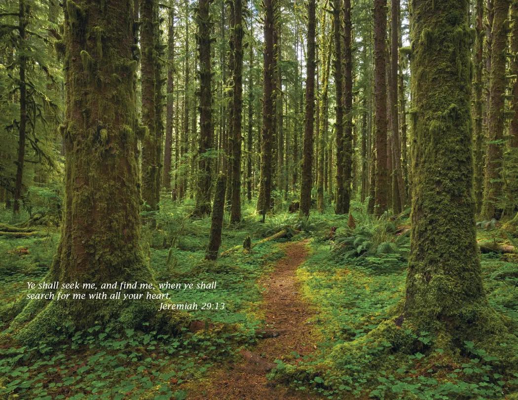 Bible Passages Wall Calendar King James Nature - 16.75 x 11 in - product view 13