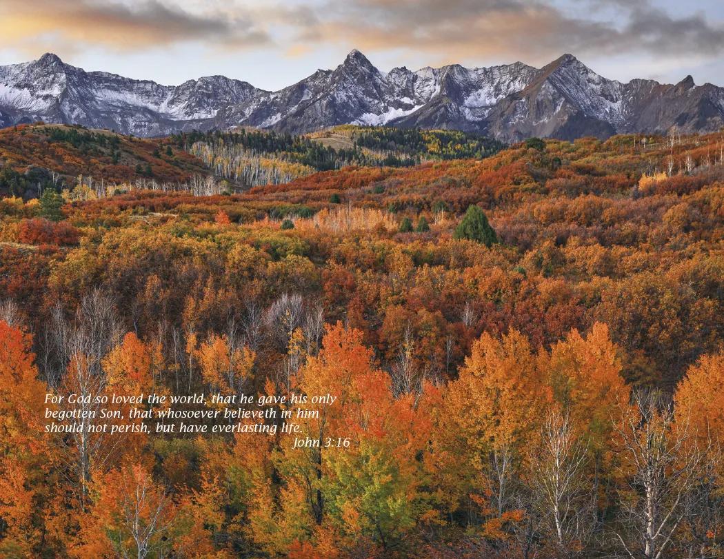 Bible Passages Wall Calendar King James Nature - 16.75 x 11 in - product view 15