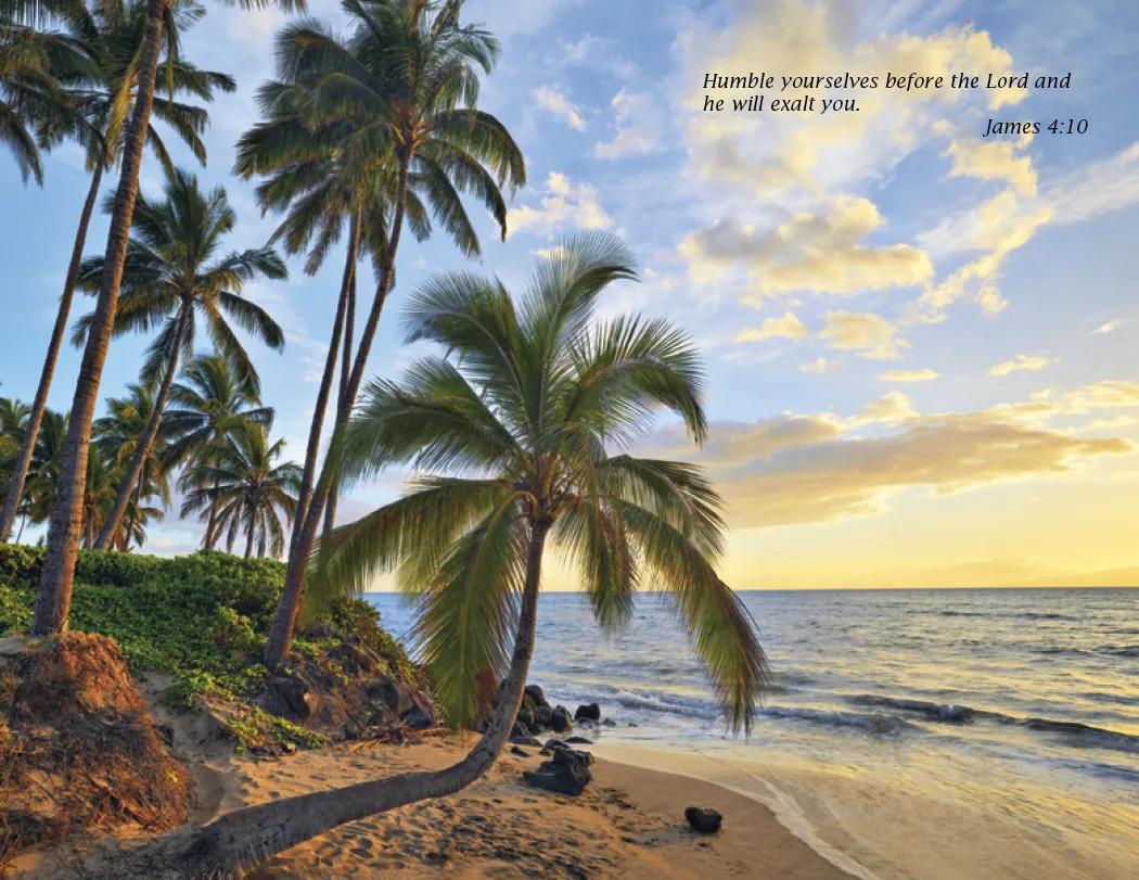 Catholic Scenic Wall Calendar FSC Paper - 16.75 x 11 in - product view 6