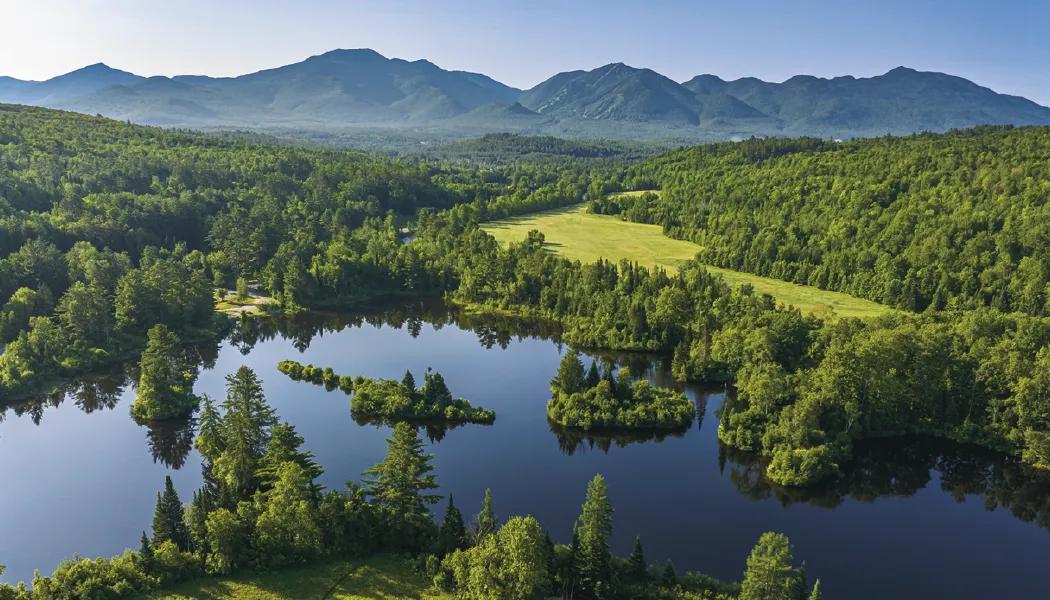 American Splendor Wall Calendar No Date Blocks - 23 x 17 in - product view 10