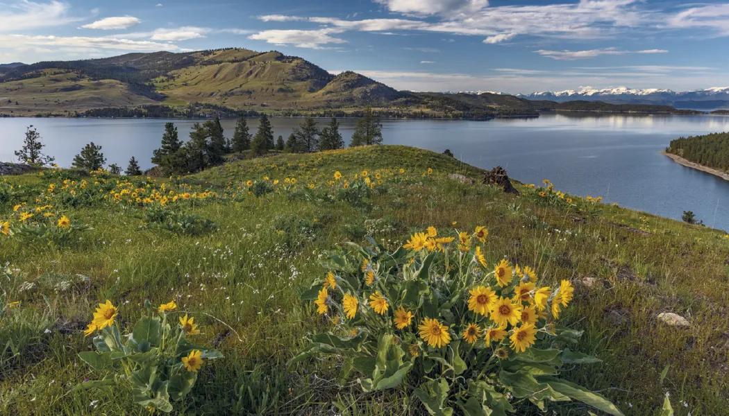 American Splendor Wall Calendar No Date Blocks - 23 x 17 in - product view 12