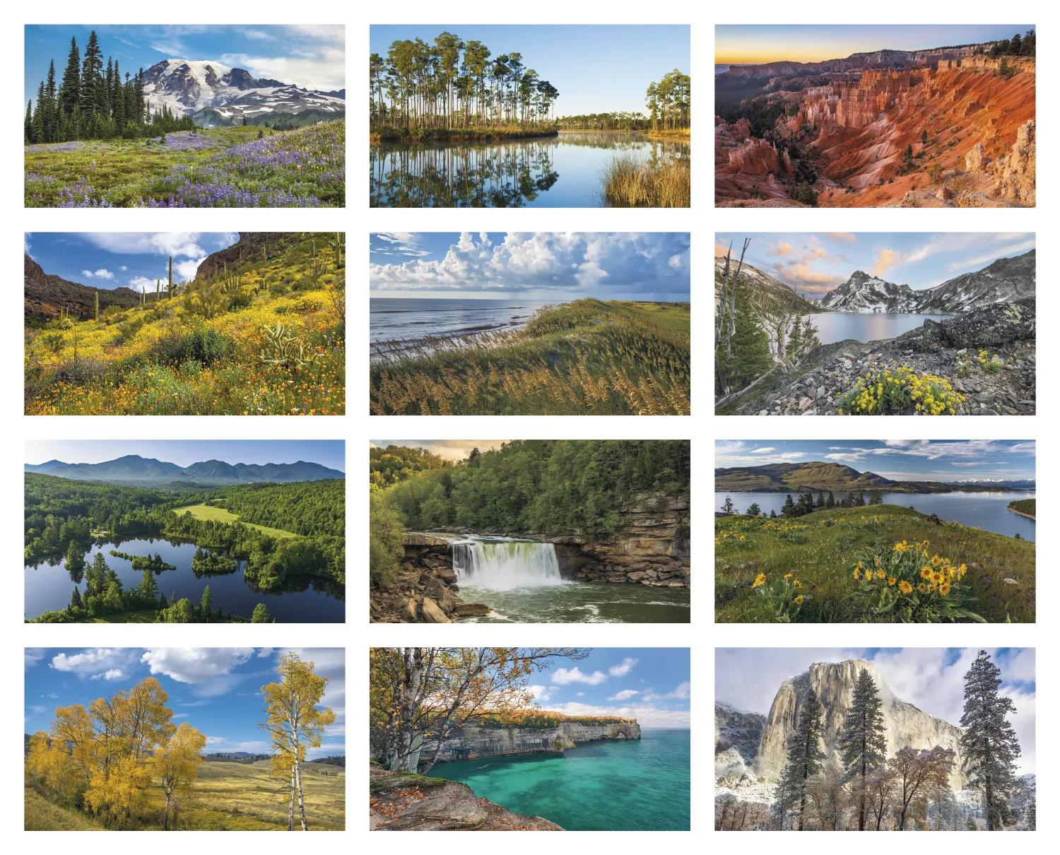 American Splendor Wall Calendar No Date Blocks - 23 x 17 in - product view 16