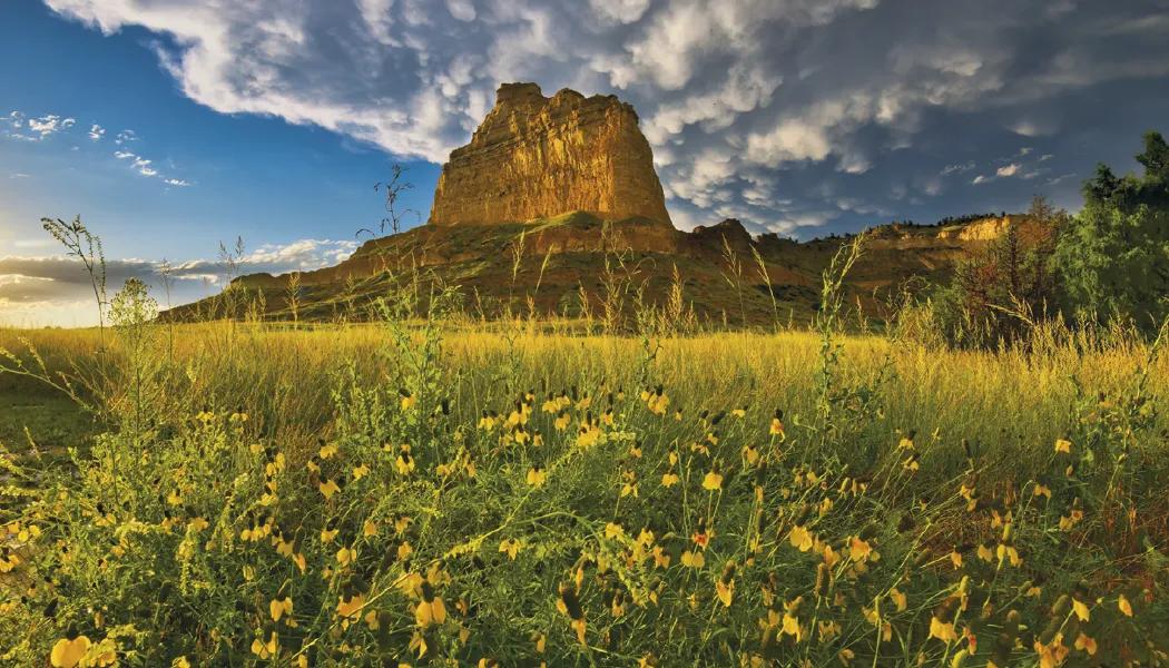 Americas Charm Wall Calendar Photography FSC - 23 x 17 in - product view 12