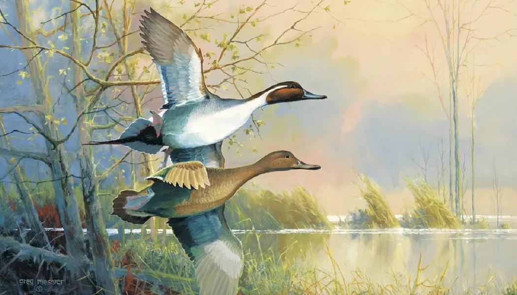 North American Waterfowl Wall Calendar FSC Paper - 23 x 17 in - product view 4