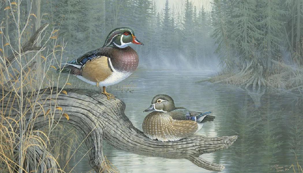 North American Waterfowl Wall Calendar FSC Paper - 23 x 17 in - product view 6