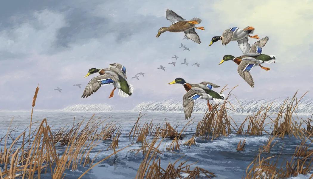 North American Waterfowl Wall Calendar FSC Paper - 23 x 17 in - product view 8