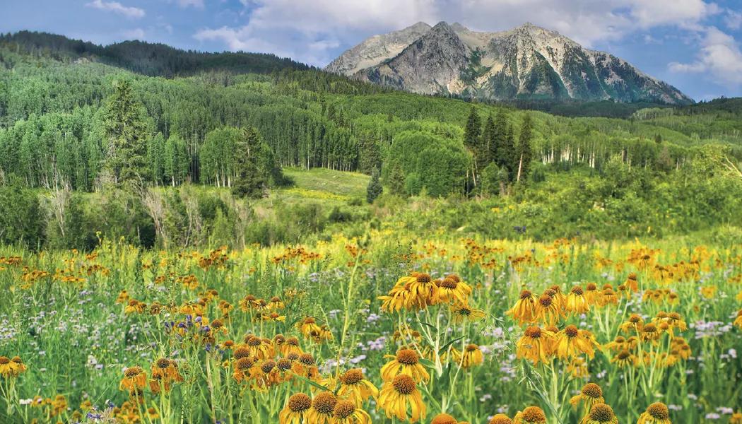 Scenes of America Wall Calendar Patriotic FSC Paper - 23 x 17 in - product view 7