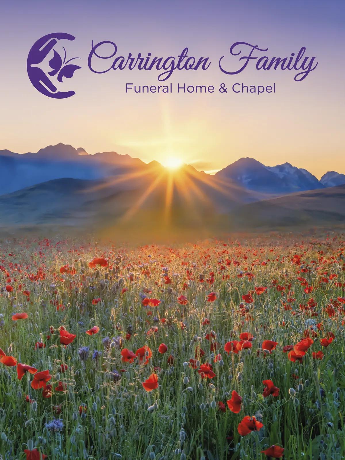 Full-Color Paper Folder Glossy Finish - 12 x 9 in - product view 9