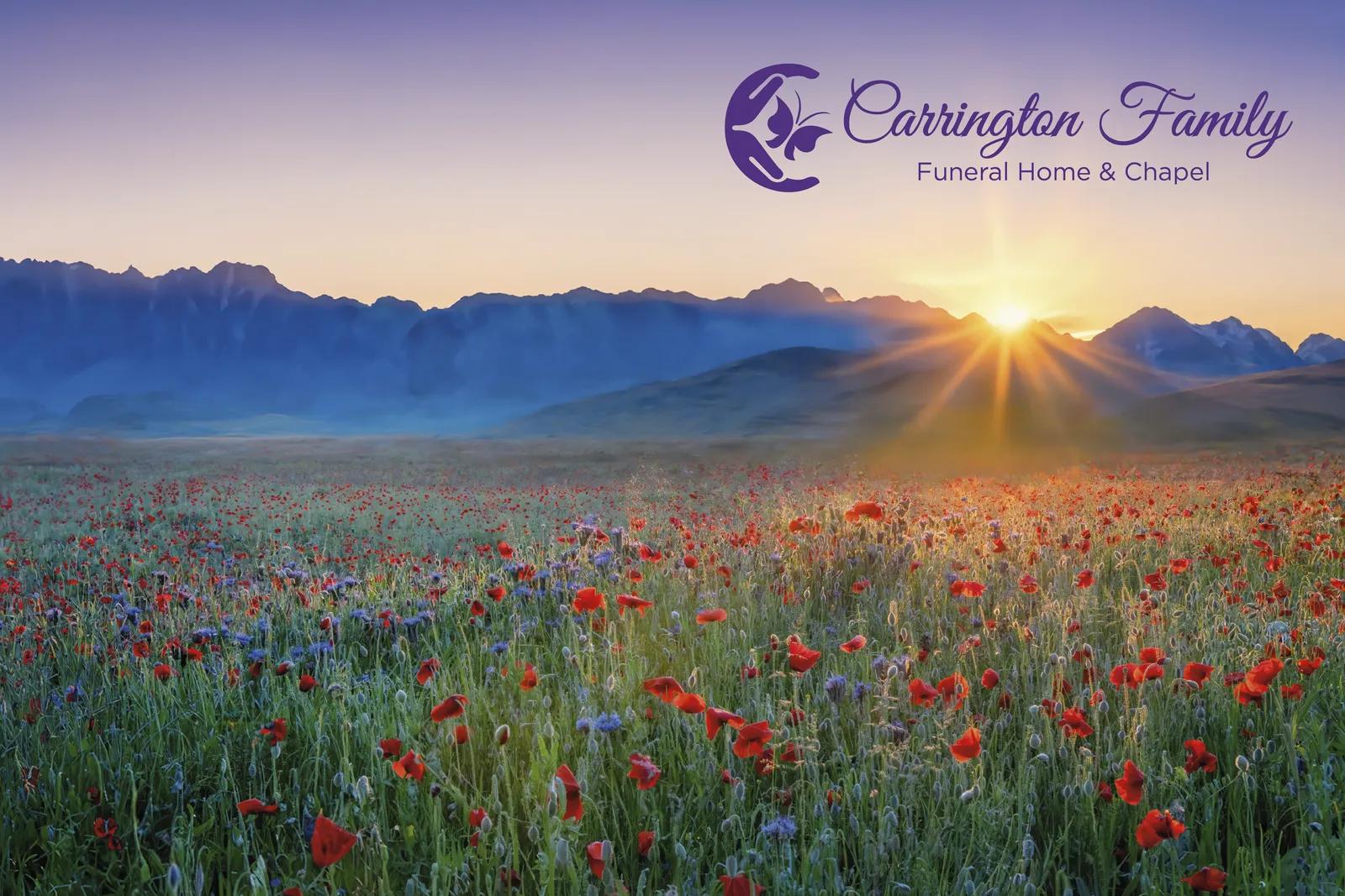 Full-Color Paper Folder Glossy Finish - 12 x 9 in - product view 10