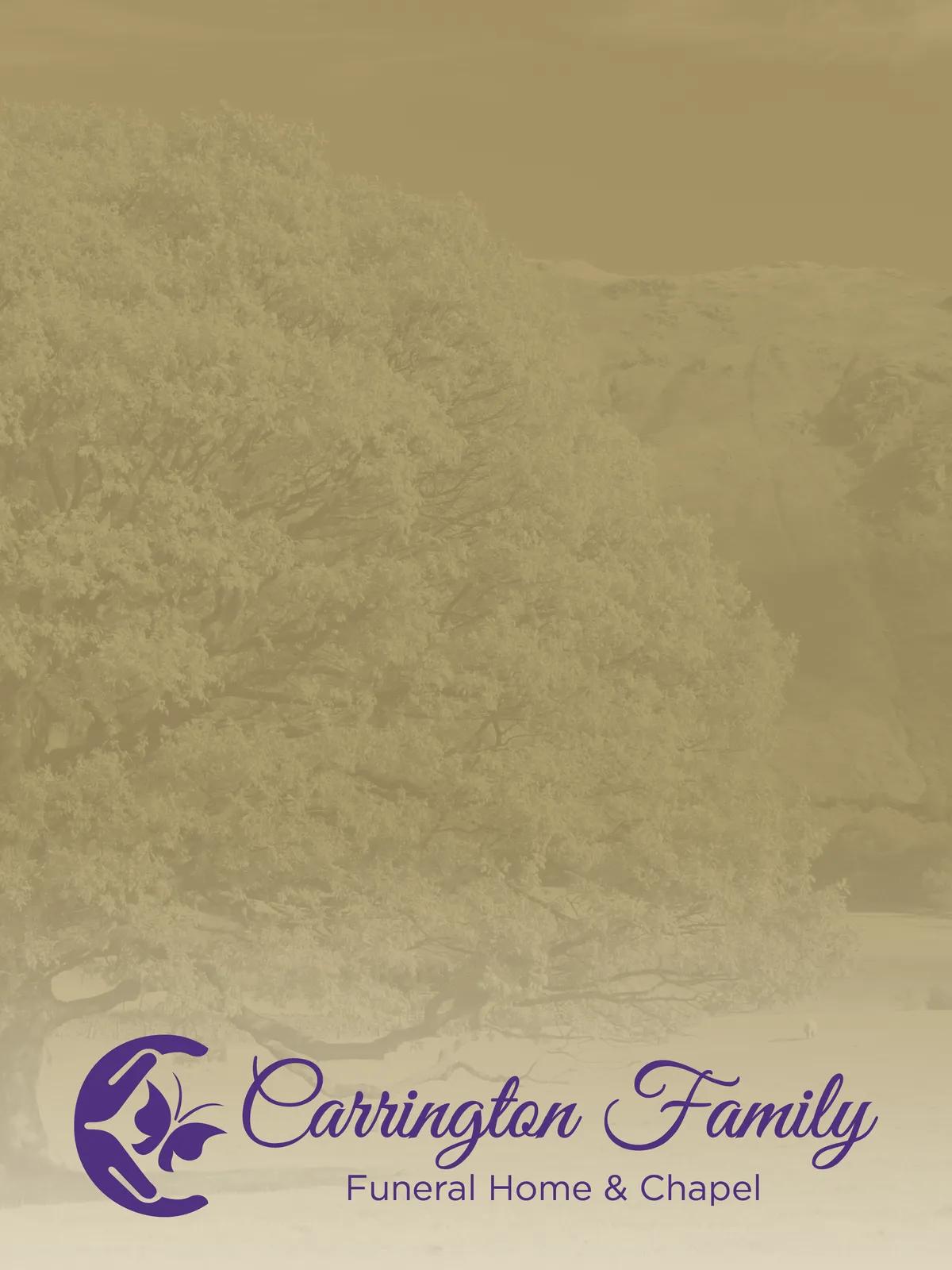 Full-Color Paper Folder Glossy Finish - 12 x 9 in - product view 18