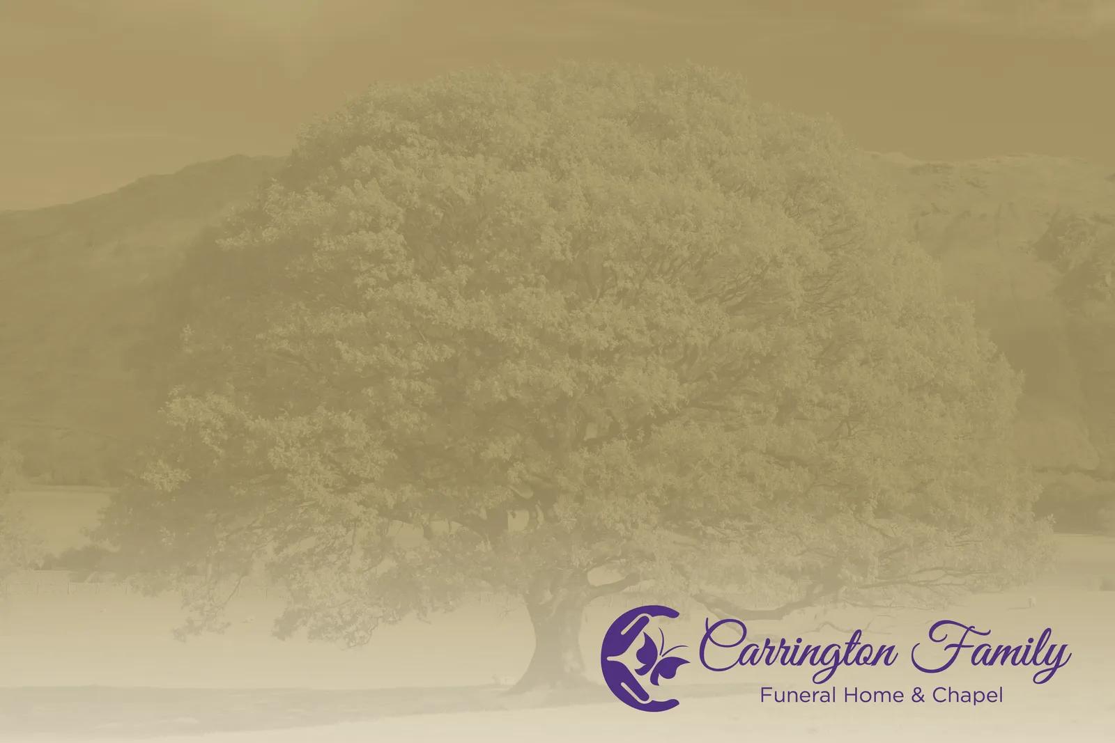 Full-Color Paper Folder Glossy Finish - 12 x 9 in - product view 19