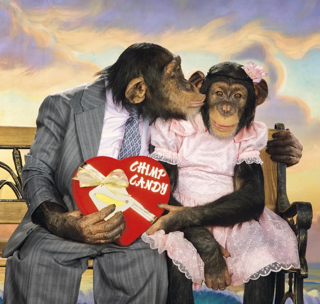 Monkey Business Wall Calendar FSC Paper - 19 x 9 in - product view 4