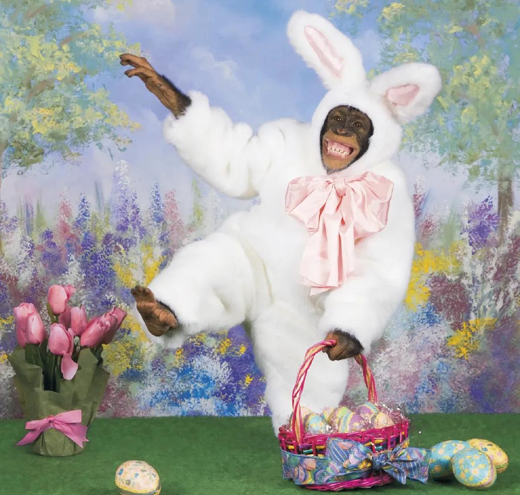 Monkey Business Wall Calendar FSC Paper - 19 x 9 in - product view 5