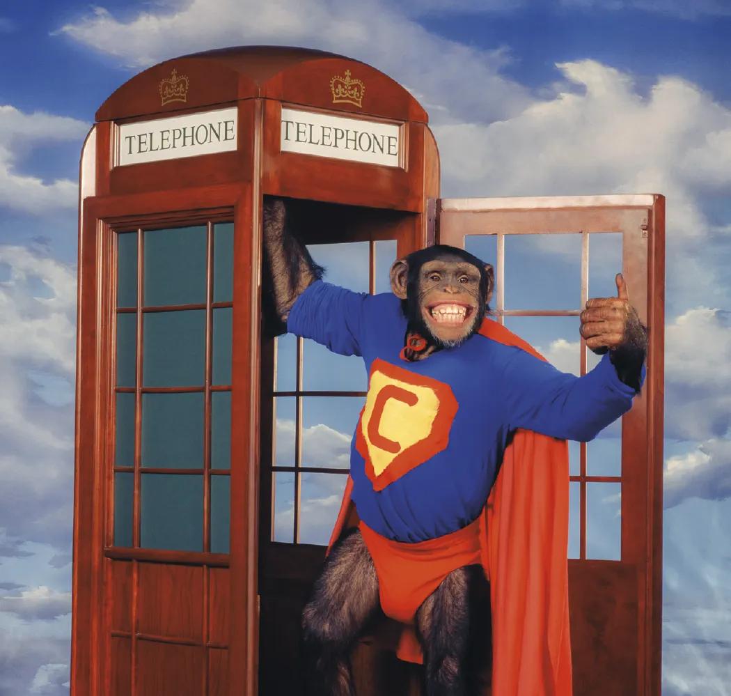 Monkey Business Wall Calendar FSC Paper - 19 x 9 in - product view 6