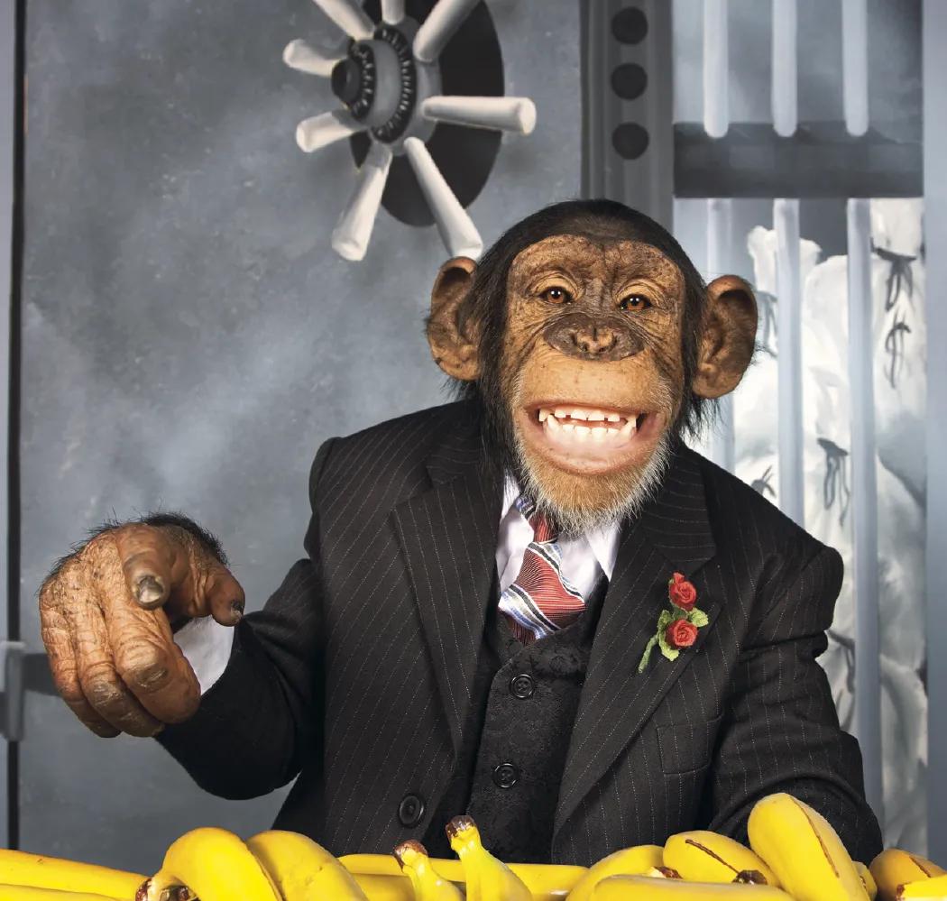 Monkey Business Wall Calendar FSC Paper - 19 x 9 in - product view 7