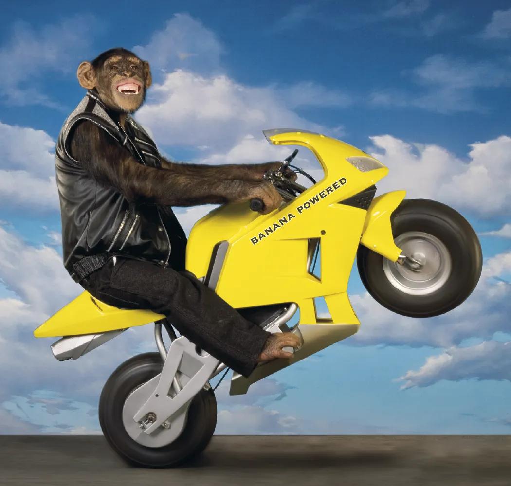 Monkey Business Wall Calendar FSC Paper - 19 x 9 in - product view 8