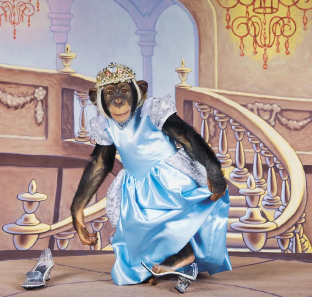 Monkey Business Wall Calendar FSC Paper - 19 x 9 in - product view 9