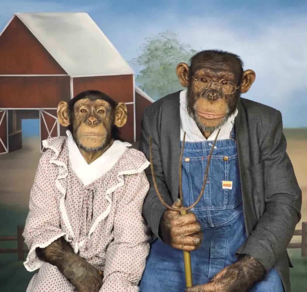 Monkey Business Wall Calendar FSC Paper - 19 x 9 in - product view 11