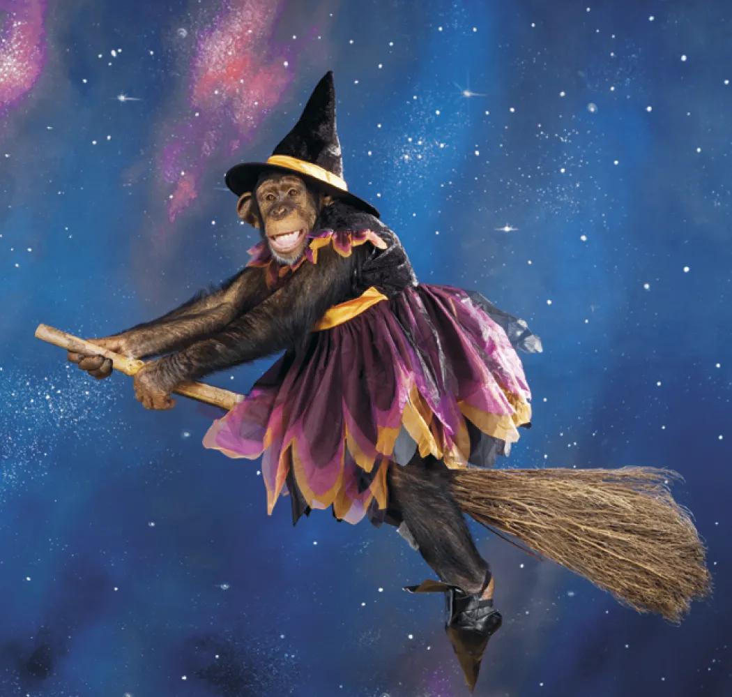 Monkey Business Wall Calendar FSC Paper - 19 x 9 in - product view 12