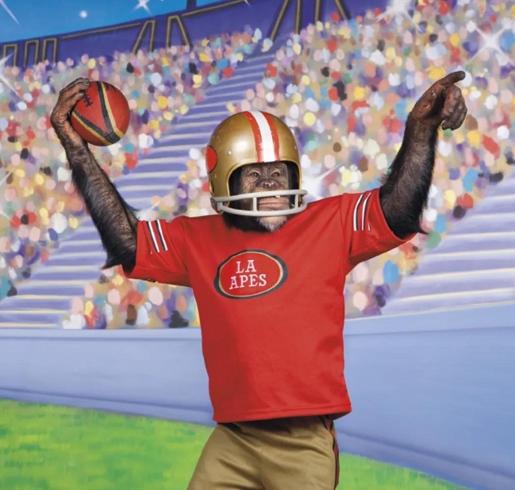 Monkey Business Wall Calendar FSC Paper - 19 x 9 in - product view 13