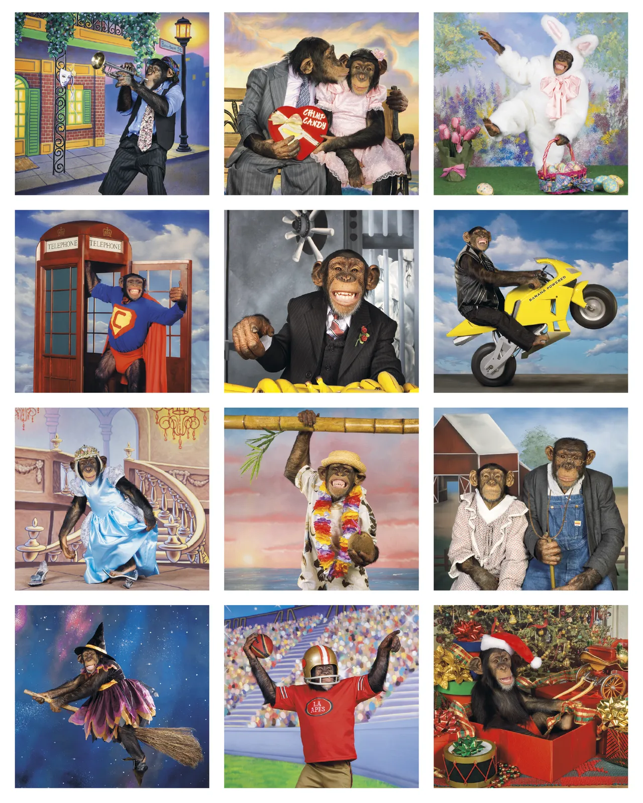 Monkey Business Wall Calendar FSC Paper - 19 x 9 in - product view 15