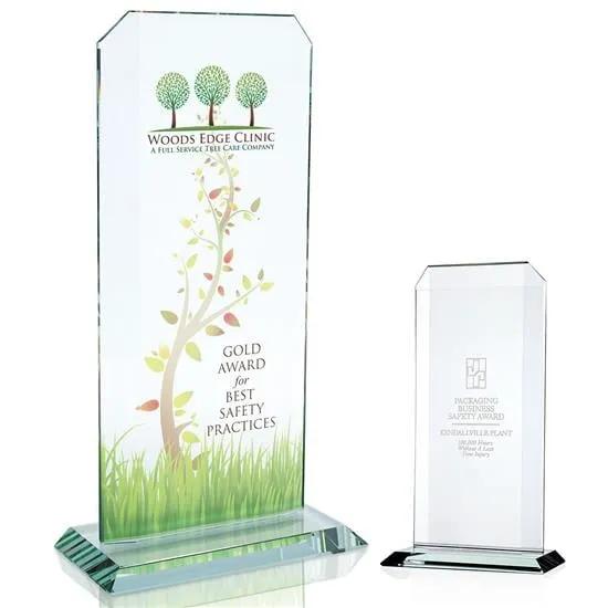 Echo Starfire Glass Award Large Performance - 11.5 x 6 in