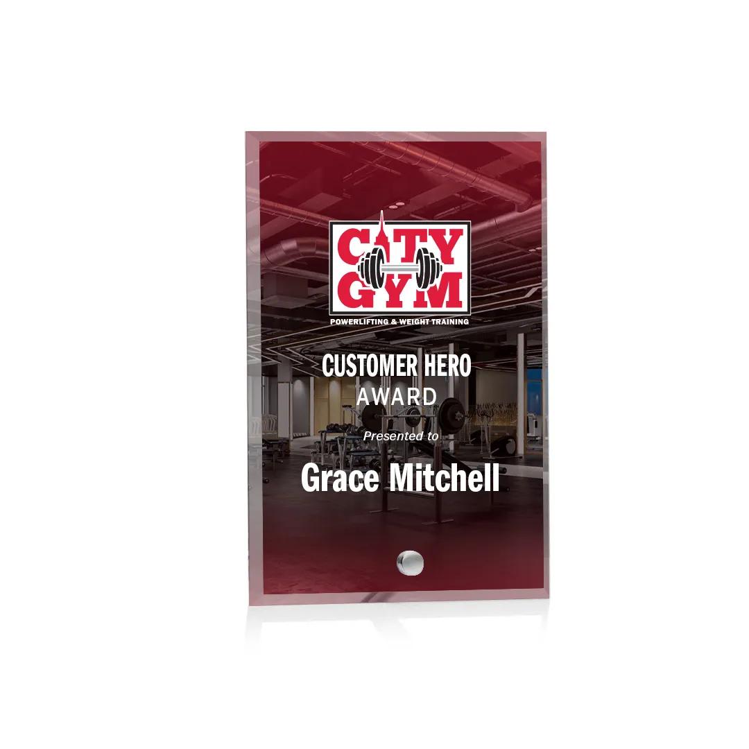 Beveled Acrylic Award Multiple Shapes Easel Pin - 5.75 x 3.75 in - product view 26