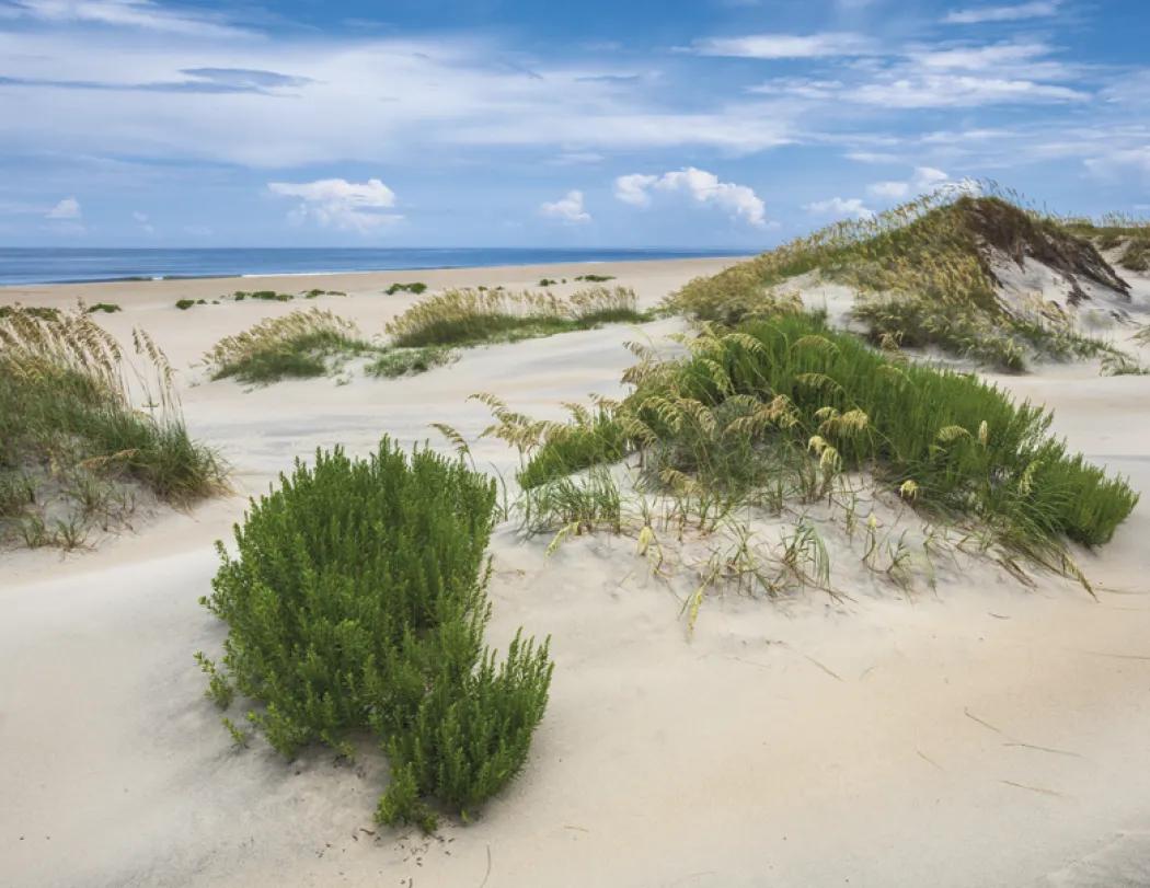 Scenic America Wall Calendar Spiral 13-Month - 18.5 x 11 in - product view 12