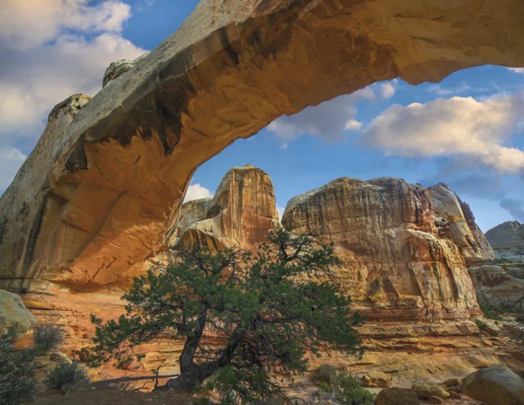 Scenic America Wall Calendar Spiral 13-Month - 18.5 x 11 in - product view 13