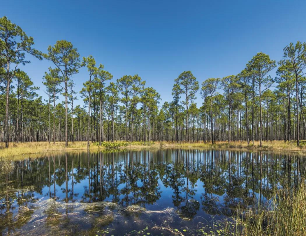 Scenic America Wall Calendar Spiral 13-Month - 18.5 x 11 in - product view 14