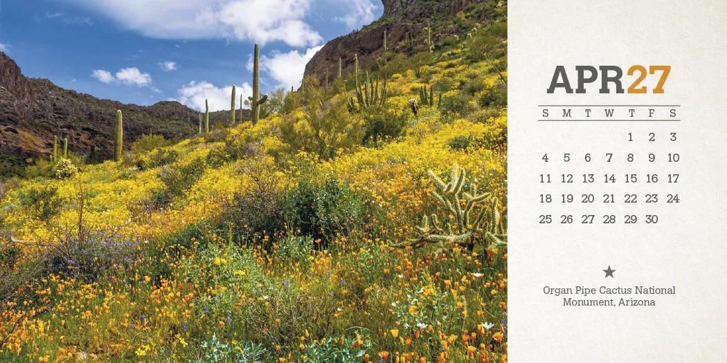 American Splendor Desk Calendar Tent Mount FSC - 4.5 x 6 in - product view 13