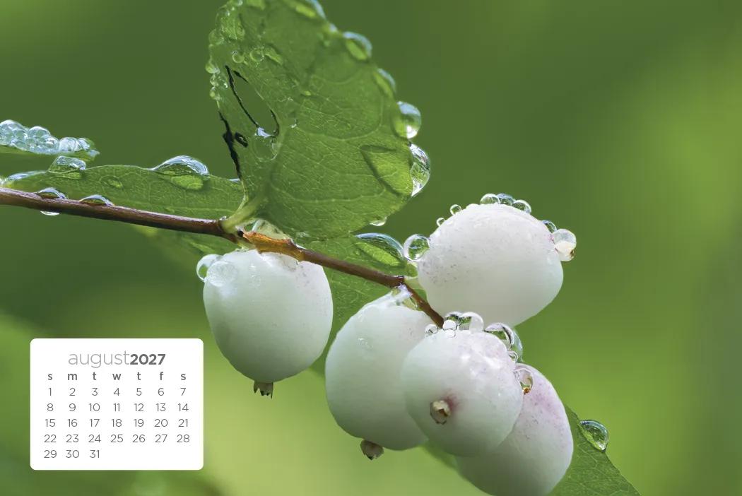 Simplicity Large Desk Calendar Tent Mount FSC - 6.5 x 7.5 in - product view 13