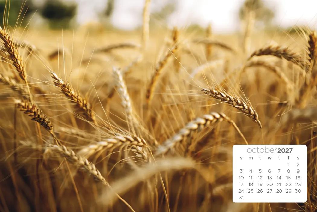 Simplicity Large Desk Calendar Tent Mount FSC - 6.5 x 7.5 in - product view 15